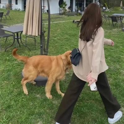 牙签乔尼
